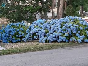 10 Indian Point Rd, Webster MA 01570