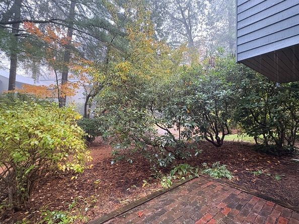 517 Tumbling Hawk 517, Acton MA 01720