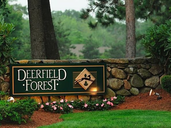 12 Walden Dr 19, Natick MA 01760