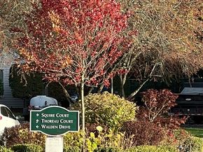 12 Walden Dr 19, Natick MA 01760