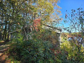 56 Lake Sargent Dr