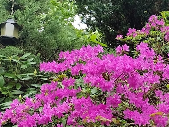 150 Webster Ave 3, Chelsea MA 02150