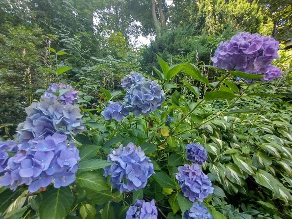 150 Webster Ave 3, Chelsea MA 02150