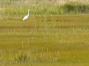 44 Old Point, Newbury MA 01951