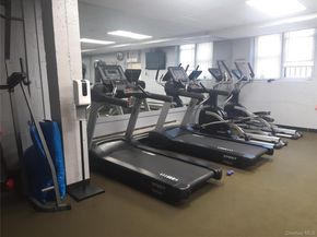 54-40 Little Neck Parkway 4M, Little Neck NY 11362