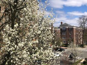 15 Meadow Avenue 6, Bronxville NY 10708