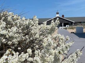 2178 Montauk 20, Amagansett NY 11930