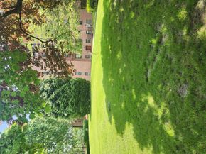 150-25 72 Road 5K, Kew Garden Hills NY 11367
