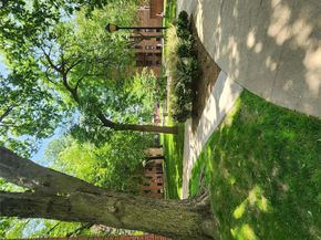 150-25 72 Road 5K, Kew Garden Hills NY 11367