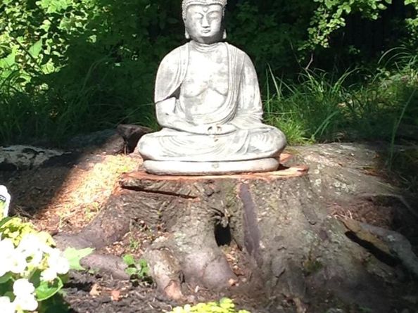 56 Belleau Avenue, New Rochelle NY 10804