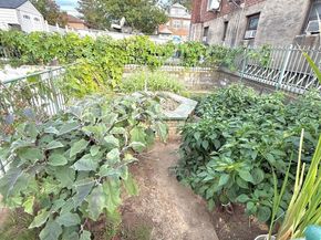 12214 25th Avenue 3A, College Point NY 11356