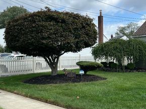 27 Taca Boulevard, Deer Park NY 11729