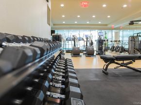 3000 Royal Court 3211, North Hills NY 11040