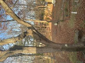 147 Pauls Path, Coram NY 11727