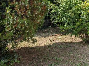 6209 Spencer Terrace, Bronx NY 10471