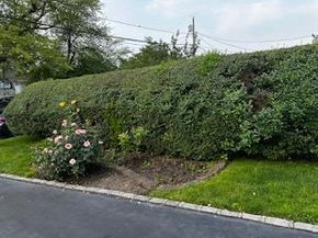 8 Hickory Street, Central Islip NY 11722