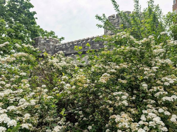 160 Cabrini Boulevard 62, New York (Manhattan) NY 10033