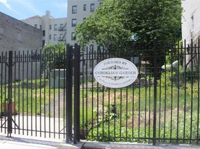 1321 Bristow Street, Bronx NY 10459