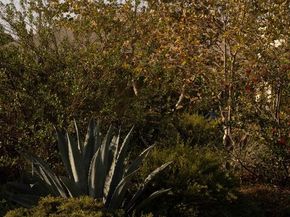 4179 S Van Ness Avenue, Los Angeles CA 90062