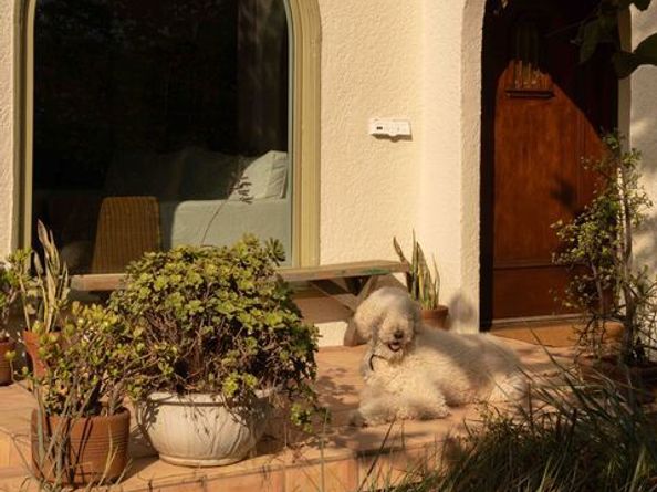 4179 S Van Ness Avenue, Los Angeles CA 90062