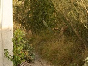 4179 S Van Ness Avenue, Los Angeles CA 90062