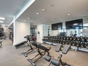 330 W 11th Street 703, Los Angeles CA 90015