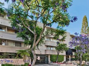 11645 Montana Avenue 223, Los Angeles CA 90049