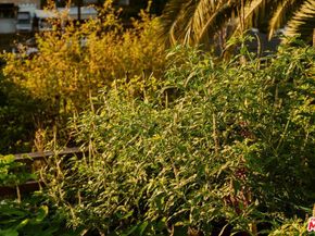 459 S Lorena Street, Los Angeles CA 90063