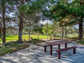 23436 Via Alondra, Coto de Caza CA 92679