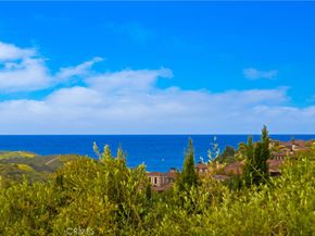 6 Canyon Peak, Newport Coast CA 92657