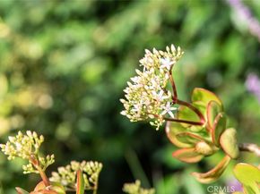 28916 Valley Heights, Agoura Hills CA 91301