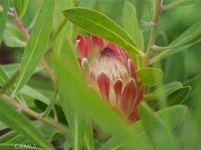 28916 Valley Heights, Agoura Hills CA 91301