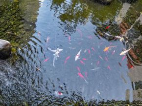 222 S Central Ave 432, Los Angeles CA 90012