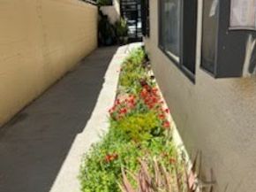1040 Cedar, Long Beach CA 90813