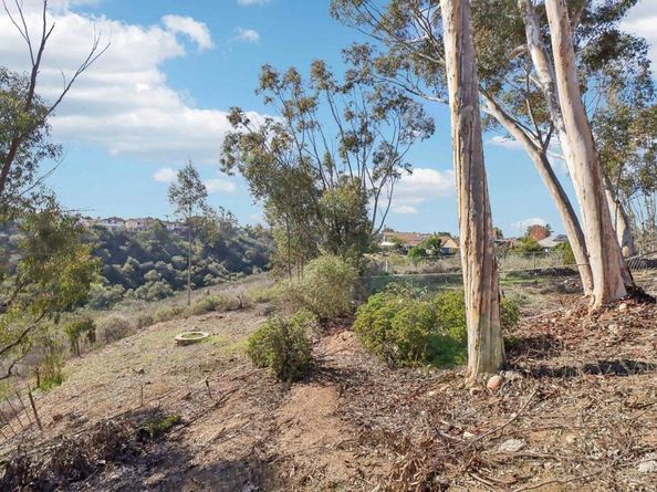 7387 New Salem Street, San Diego CA 92126