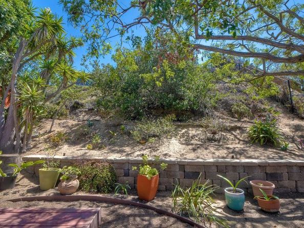 265 Fraxinella St, Encinitas CA 92024