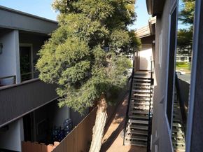 3644 3rd Avenue 5, San Diego CA 92103