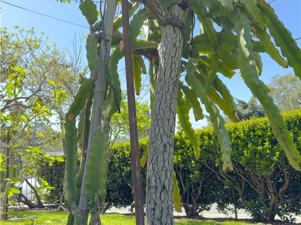 4500 Mont Eagle Place, Los Angeles CA 90041