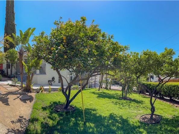 4500 Mont Eagle Place, Los Angeles CA 90041