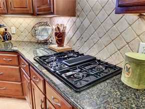 7 N Spring Brook Court Court, The Woodlands TX 77382
