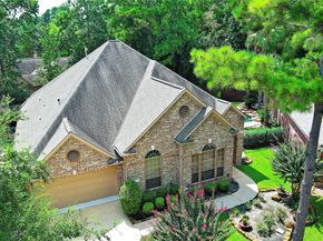 7 N Spring Brook Court Court, The Woodlands TX 77382