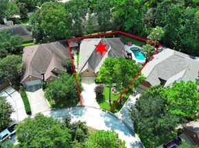 7 N Spring Brook Court Court, The Woodlands TX 77382