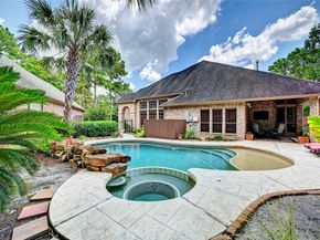 7 N Spring Brook Court Court, The Woodlands TX 77382