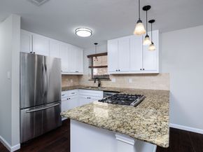 1 Ground Brier Court, The Woodlands TX 77381