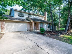 1 Ground Brier Court, The Woodlands TX 77381