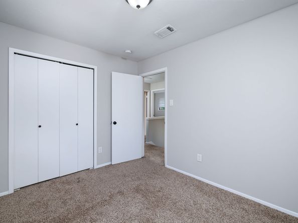 1 Ground Brier Court, The Woodlands TX 77381