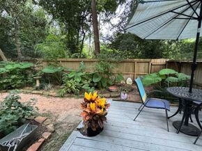 26 N Rushwing Circle, The Woodlands TX 77381