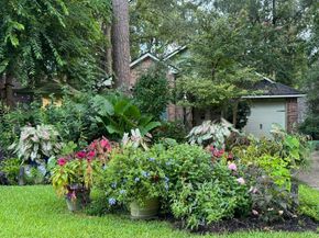 26 N Rushwing Circle, The Woodlands TX 77381