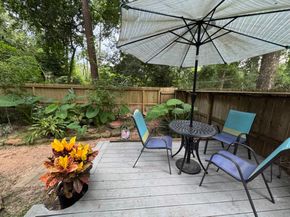 26 N Rushwing Circle, The Woodlands TX 77381