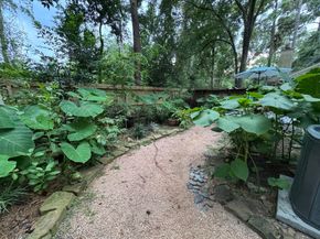 26 N Rushwing Circle, The Woodlands TX 77381